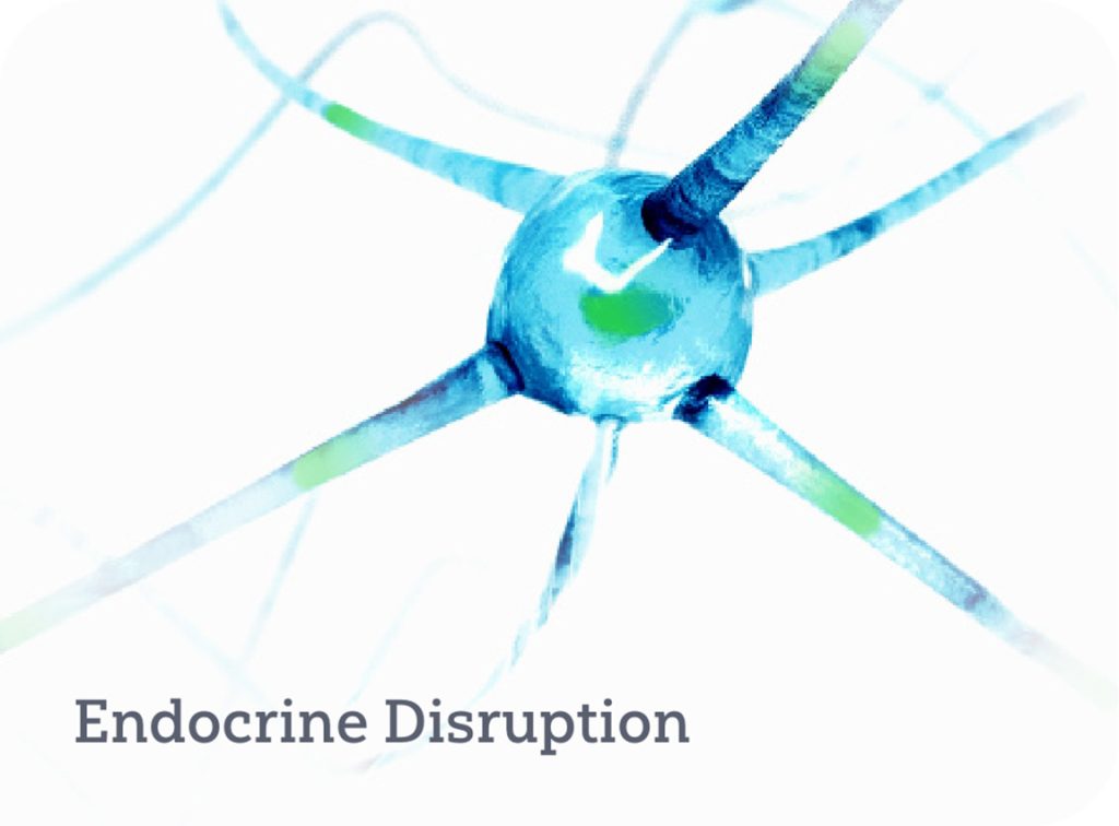 Endocrine disruption