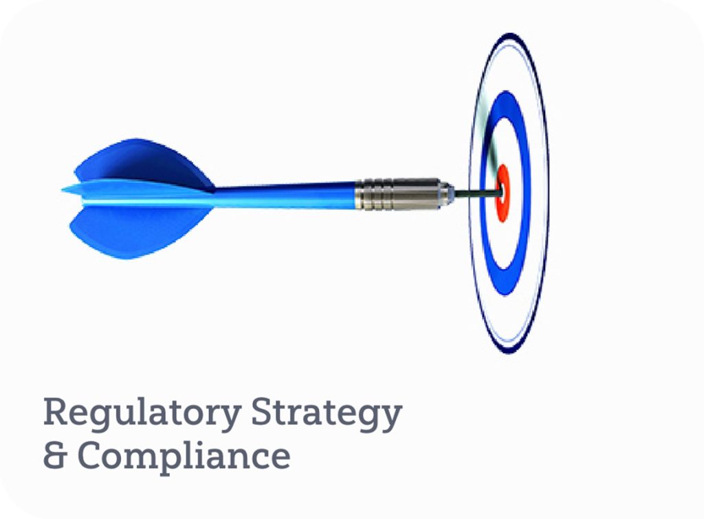 Regulatory Strategy and Compliance