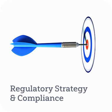 Regulatory Strategy and Compliance