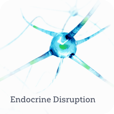 Endocrine disruption